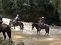 Reitausflug