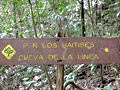 cueva de la linea