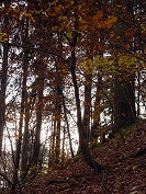 gegen das Licht