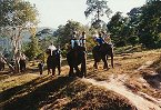 Touri - Elefantenritt