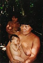 Sanema Yanomami Frauen