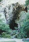 Guacharo Höhle - Cueva del Guacharo