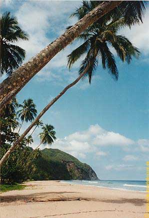 Abenteuer Reiseberichte Karibischen Kuste Venezuelas Und Guacharo Hohlen Bei Www Urlaubserlebnisse De